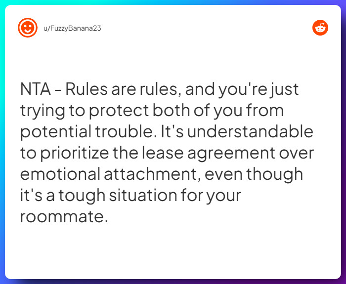 Comment from u/FuzzyBanana23