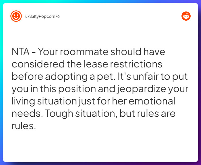 Comment from u/SaltyPopcorn76