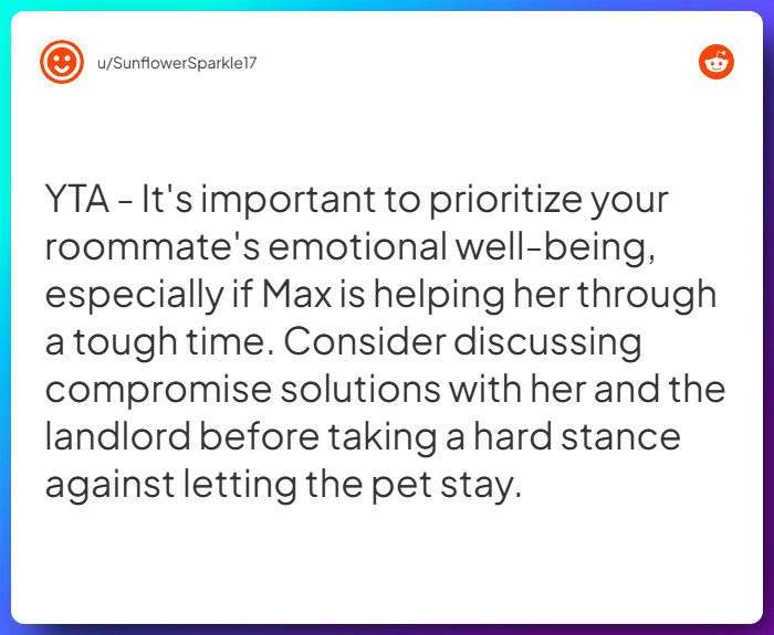 Comment from u/SunflowerSparkle17