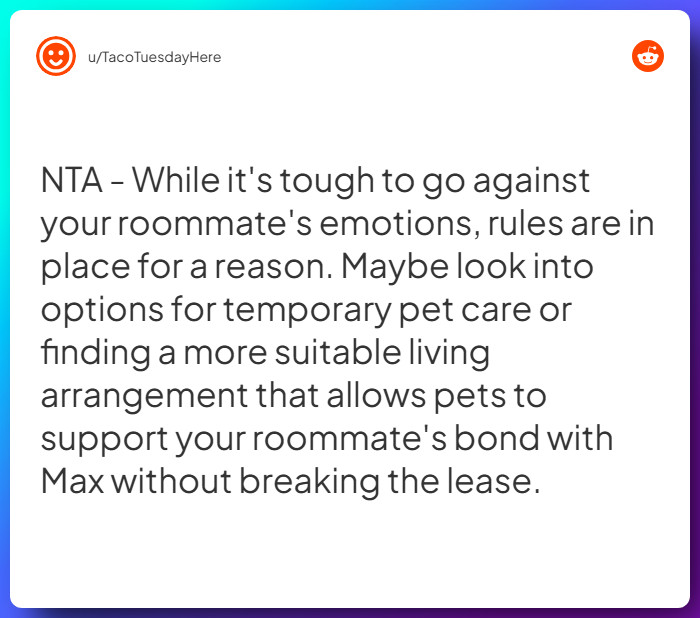 Comment from u/TacoTuesdayHere