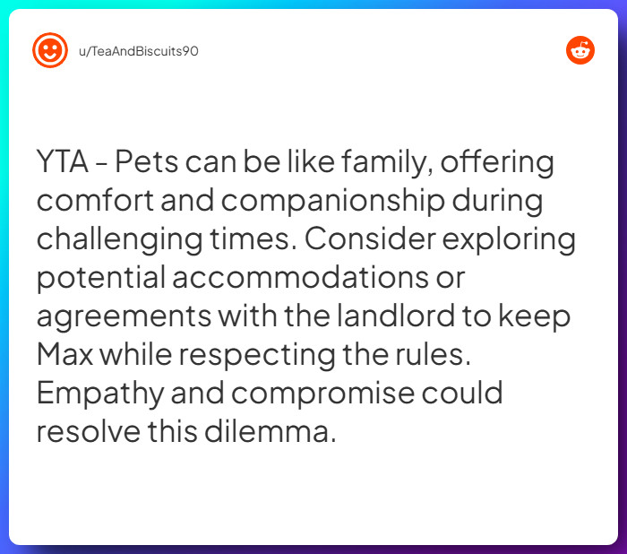 Comment from u/TeaAndBiscuits90