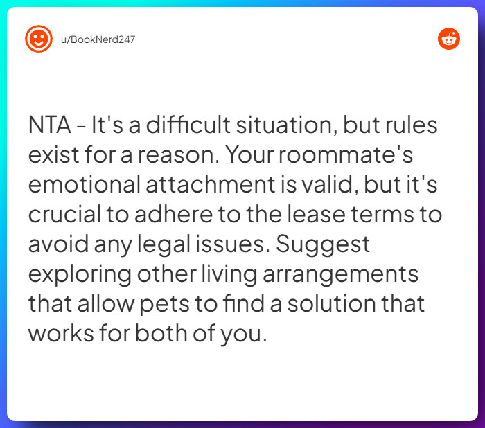 Comment from u/BookNerd247