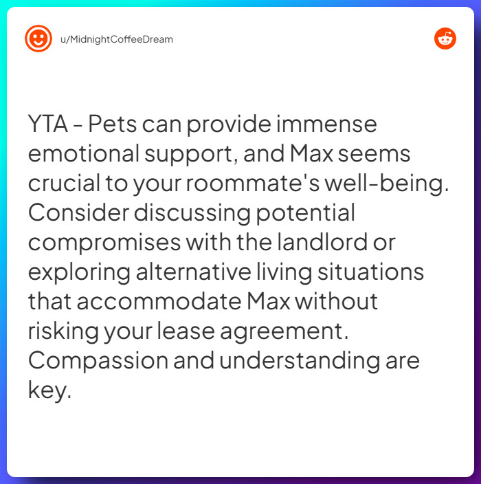 Comment from u/MidnightCoffeeDream