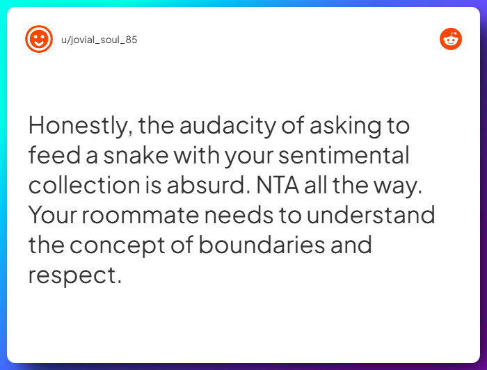 Comment from u/jovial_soul_85