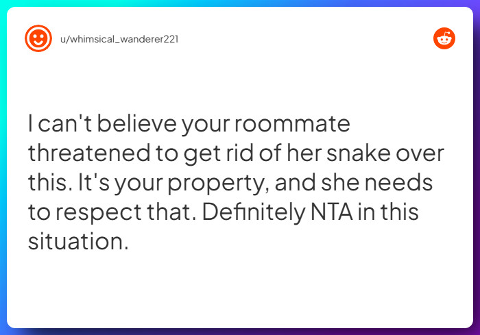 Comment from u/whimsical_wanderer221