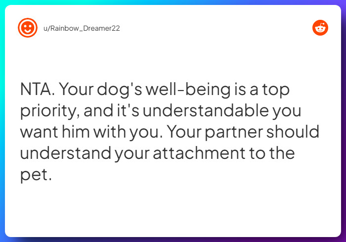 Comment from u/Rainbow_Dreamer22