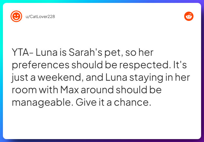 Comment from u/CatLover228