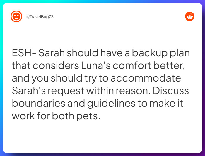 Comment from u/TravelBug73