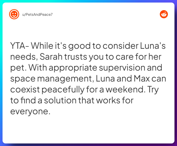 Comment from u/PetsAndPeace7