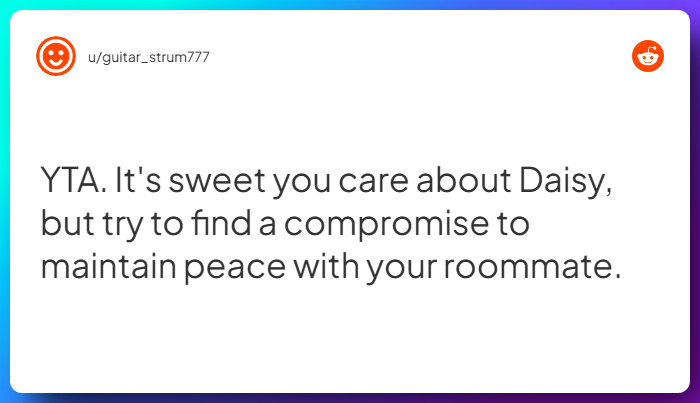 Comment from u/guitar_strum777