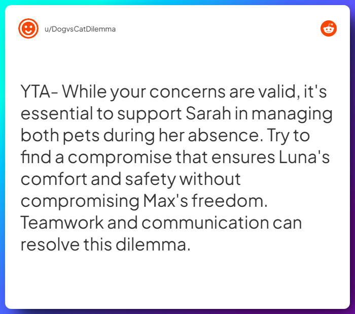 Comment from u/DogvsCatDilemma