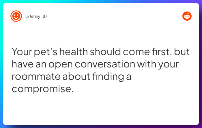 Comment from u/Jenny_87