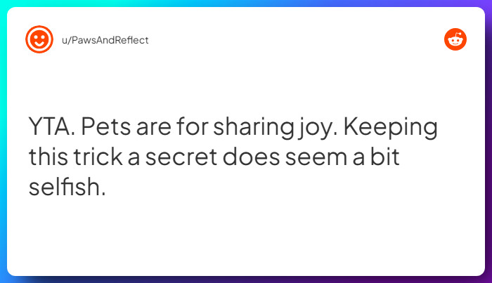 Comment from u/PawsAndReflect