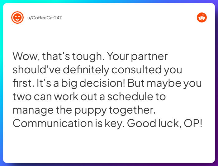 Comment from u/CoffeeCat247