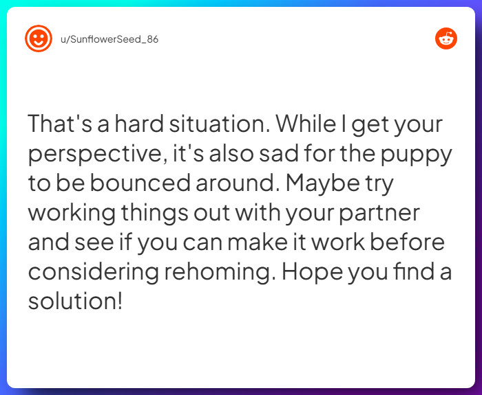 Comment from u/SunflowerSeed_86