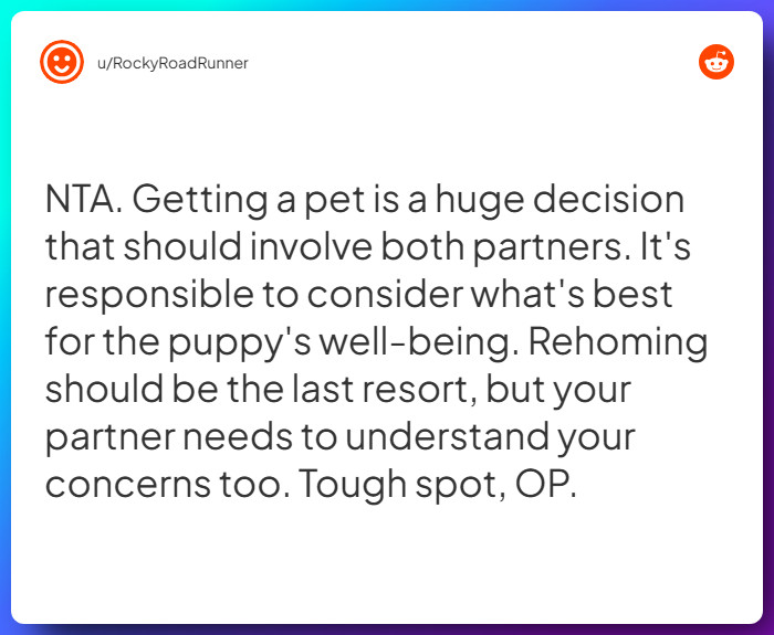 Comment from u/RockyRoadRunner