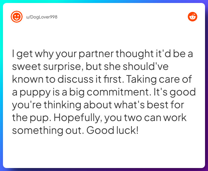 Comment from u/DogLover998