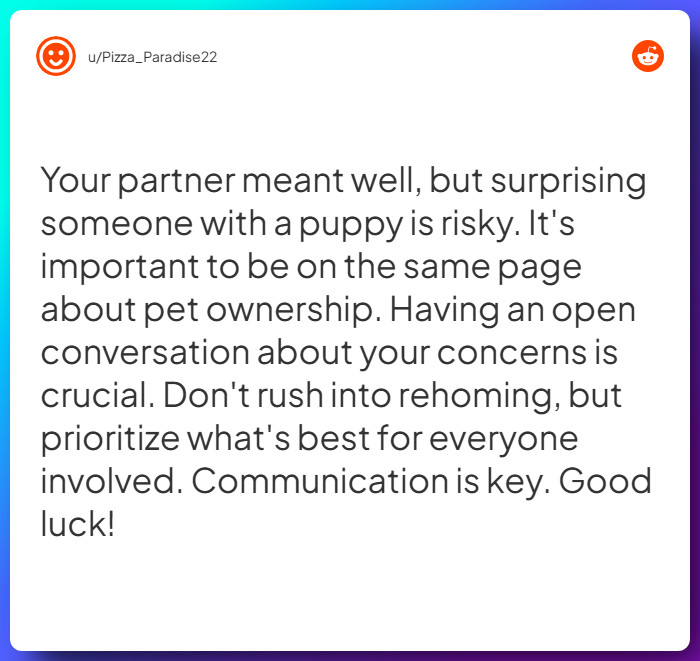 Comment from u/Pizza_Paradise22