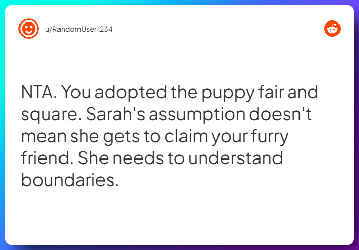 Comment from u/RandomUser1234