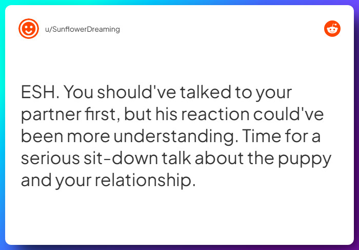 Comment from u/SunflowerDreaming