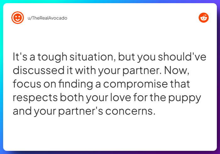 Comment from u/TheRealAvocado