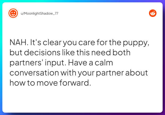 Comment from u/MoonlightShadow_77