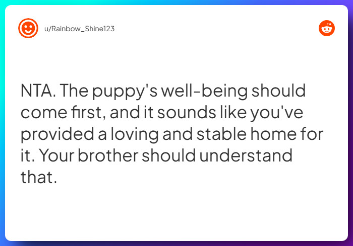 Comment from u/Rainbow_Shine123