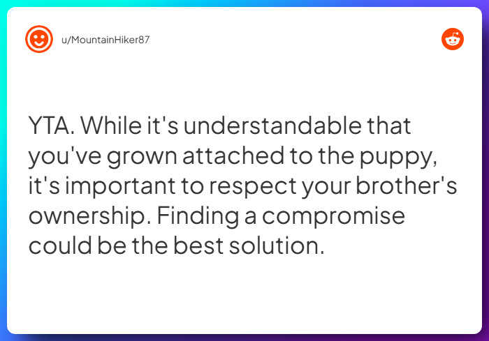 Comment from u/MountainHiker87