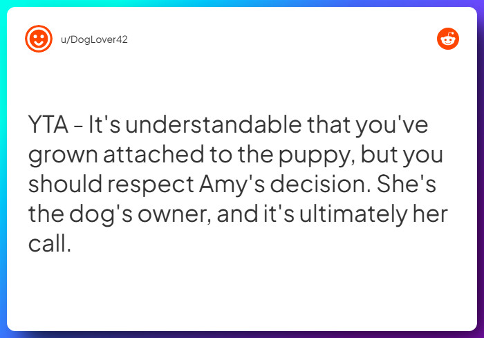 Comment from u/DogLover42