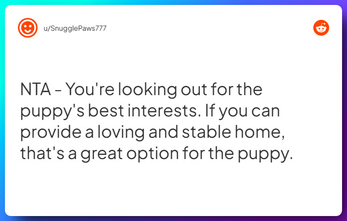 Comment from u/SnugglePaws777