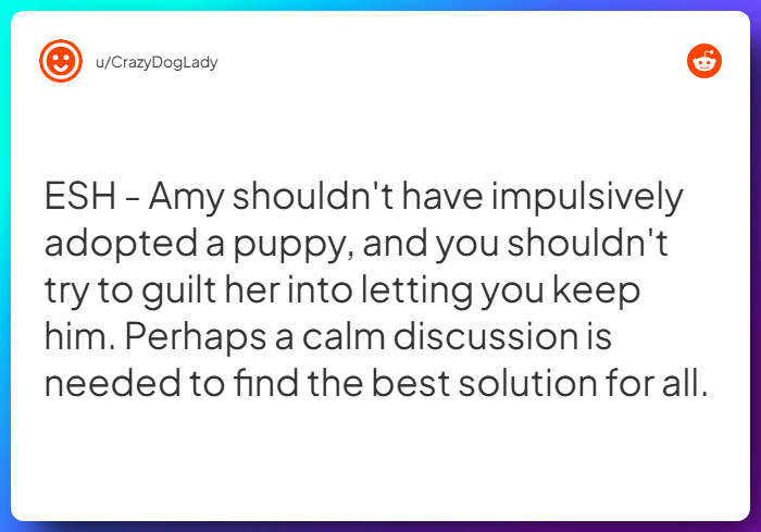 Comment from u/CrazyDogLady