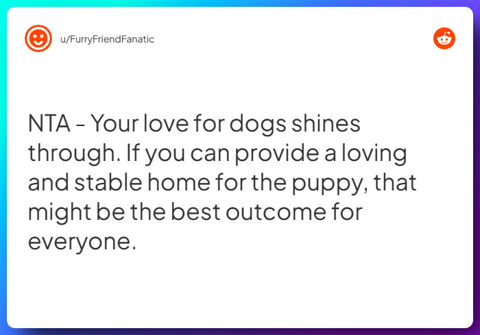 Comment from u/FurryFriendFanatic