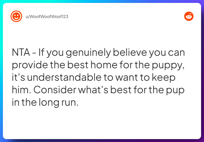 Comment from u/WoofWoofWoof123