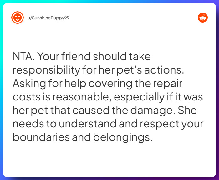 Comment from u/SunshinePuppy99