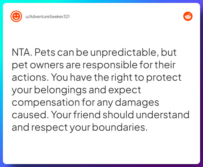 Comment from u/AdventureSeeker321