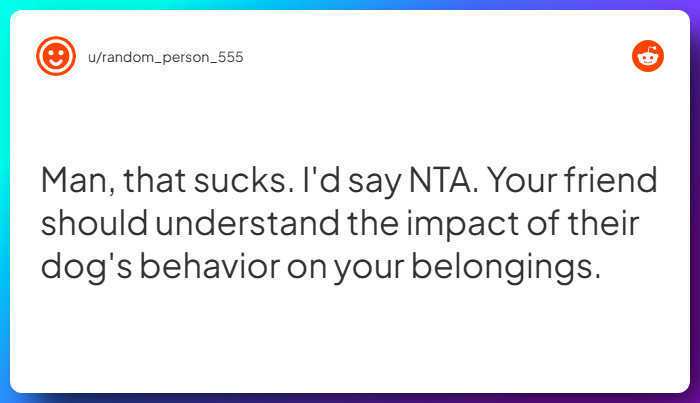 Comment from u/random_person_555