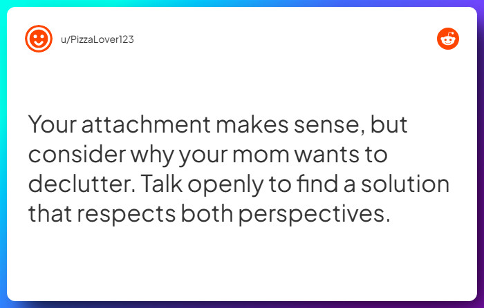 Comment from u/PizzaLover123