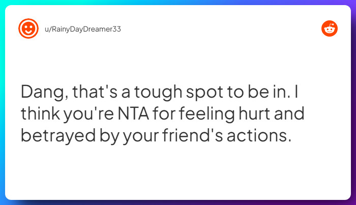 Comment from u/RainyDayDreamer33