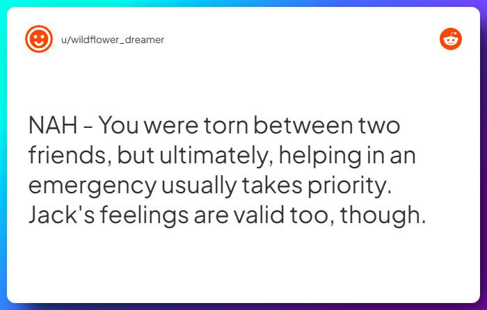 Comment from u/wildflower_dreamer