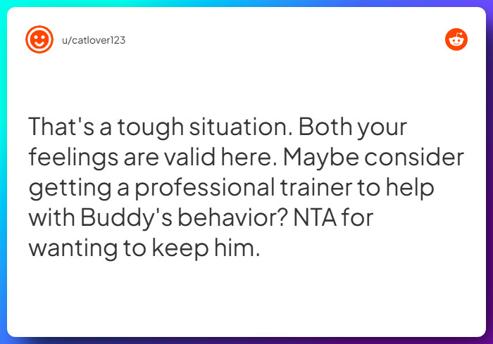 Comment from u/catlover123