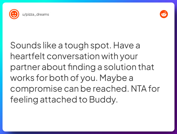 Comment from u/pizza_dreams