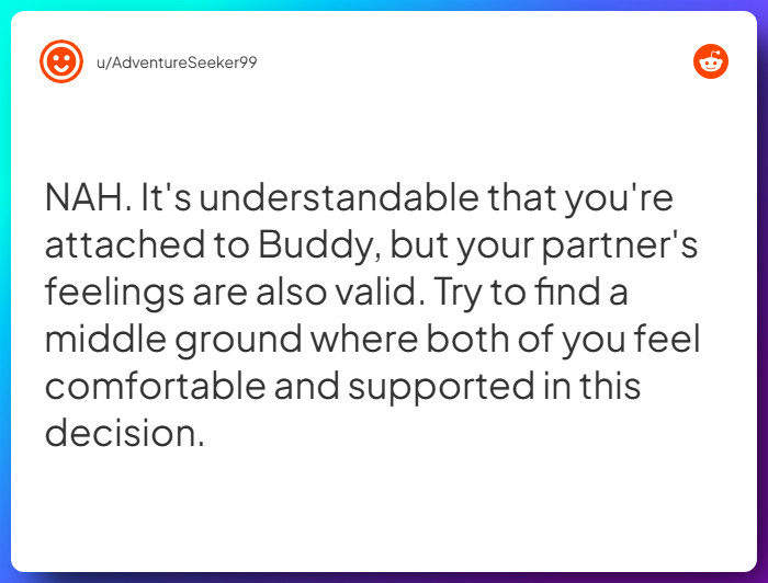 Comment from u/AdventureSeeker99