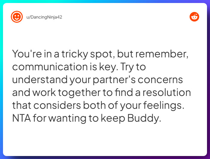 Comment from u/DancingNinja42