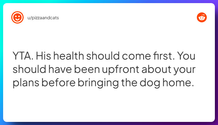 Comment from u/pizzaandcats