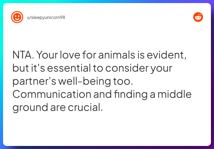 Comment from u/sleepyunicorn98