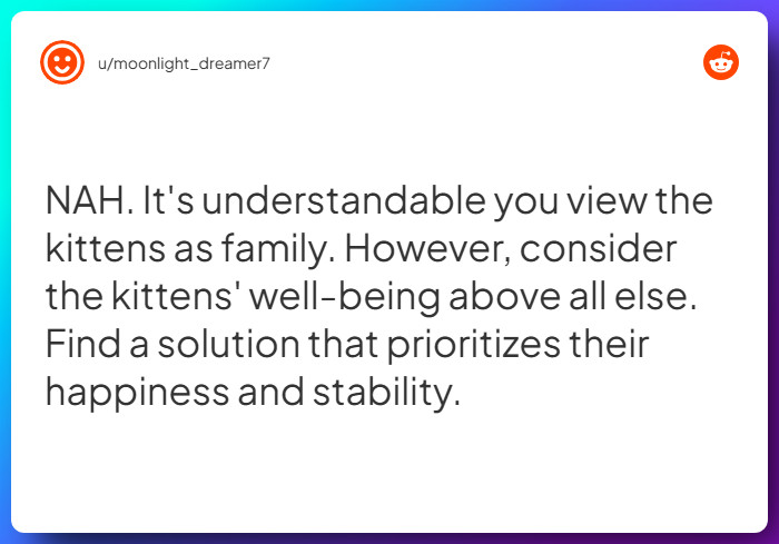 Comment from u/moonlight_dreamer7