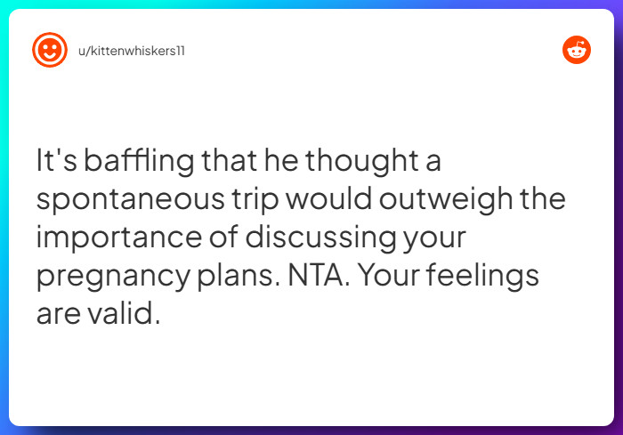 Comment from u/kittenwhiskers11