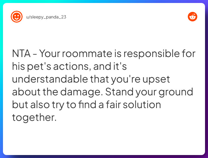 Comment from u/sleepy_panda_23