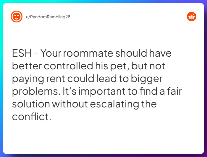 Comment from u/RandomRambling28