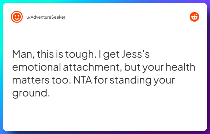 Comment from u/AdventureSeeker